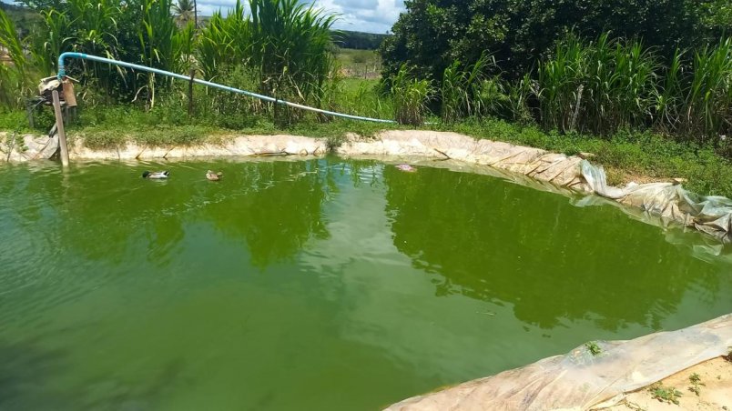 Idosa de 103 anos morre após cair em reservatório de água  em Carnaubal, Interior do Ceará