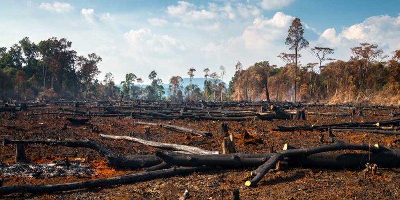 Desmatamento na Amazônia triplica em março e faz trimestre fechar como o 2º pior desde 2008