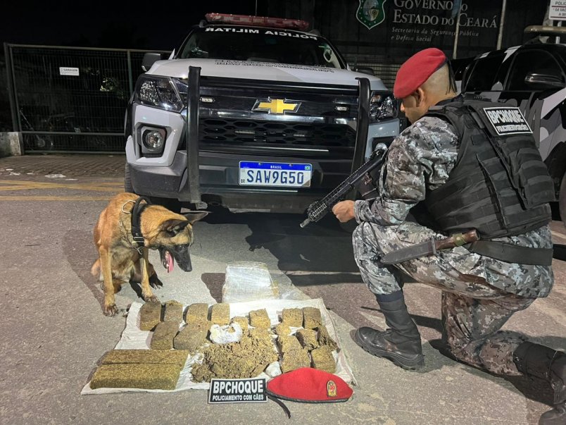 Operação da PMCE resulta na apreensão de oito quilos de maconha em Messejana