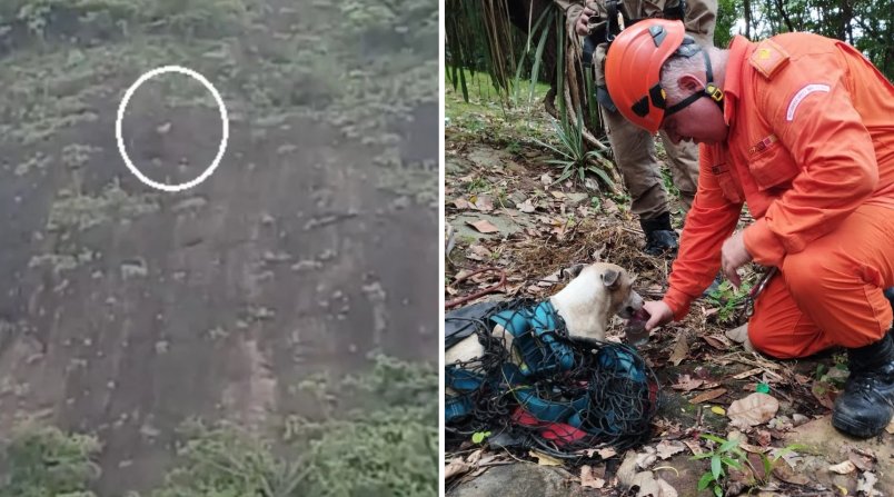 Bombeiros resgatam cão preso em penhasco e emocionam moradores de Baturité