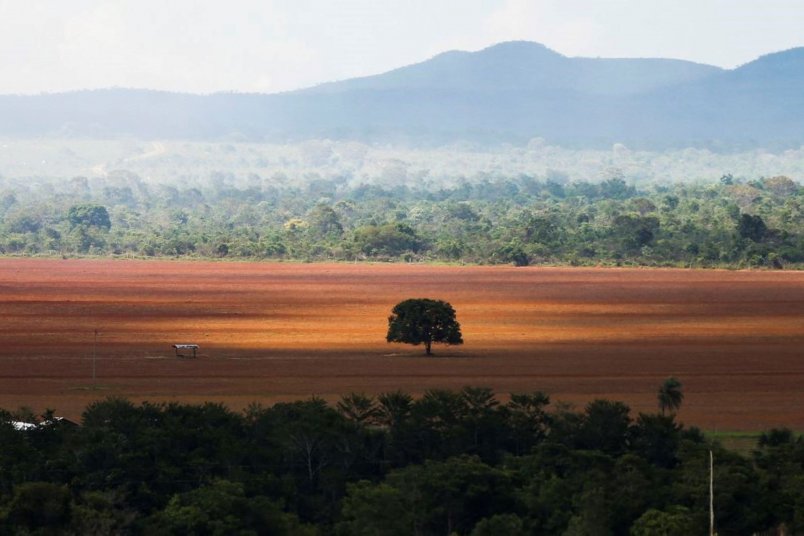 Amazônia perdeu 21 árvores a cada segundo em 2022, revela MapBiomas