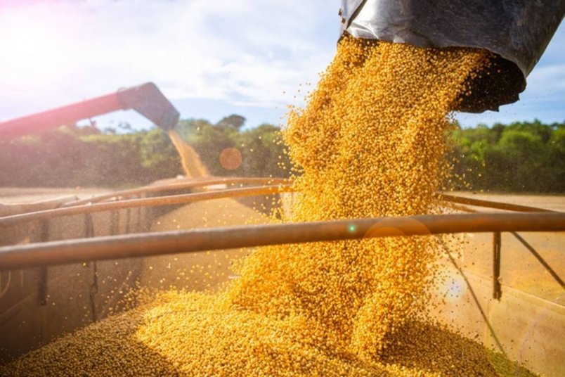 Safra agrícola brasileira de 2023 deve atingir recorde de 307,3 milhões de toneladas, aponta IBGE