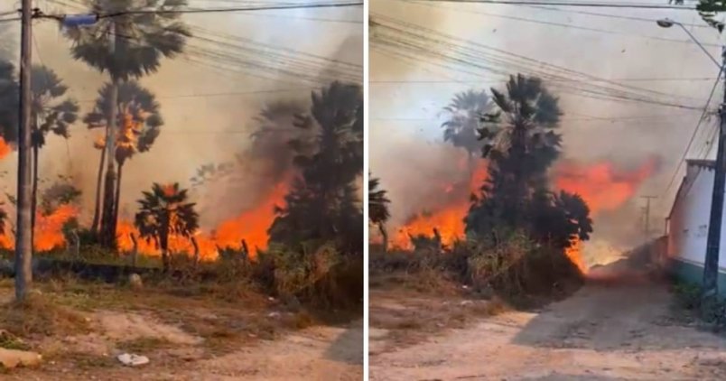 Alunos correm após incêndio atingir terreno vizinho a escola indígena na Grande Fortaleza