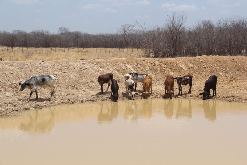 Cinco cidades do Ceará estão em risco de colapso no abastecimento de água até junho